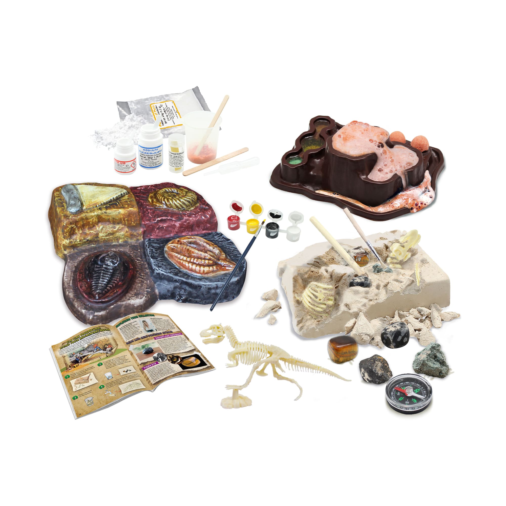 Wild Environmental Science - Wonders of the Earth